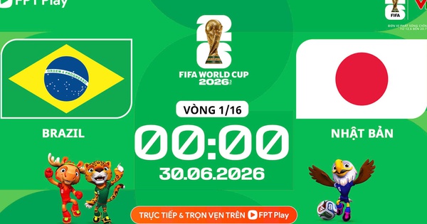 Nhận định Brazil vs Nhật Bản: Trận cầu nghẹt thở và cơ hội từ O8 - hình ảnh - o8play.com Nhận định Brazil vs Nhật Bản: Trận cầu nghẹt thở và cơ hội từ O8 - hình ảnh - o8play.com
