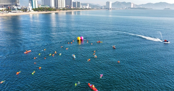 O8 cược bóng đá đồng hành cùng giải bơi biển SeaStar Nha Trang Bay 2026 - hình ảnh - o8play.com