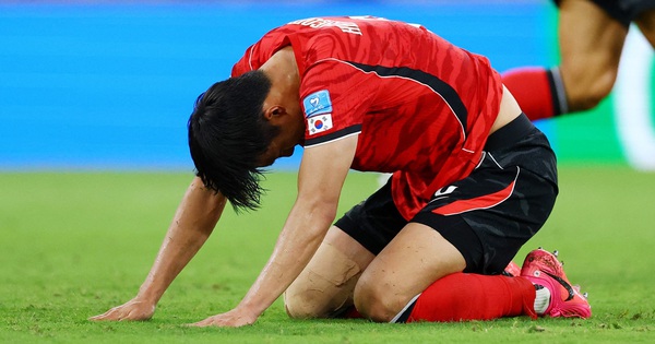 O8 cược bóng đá: Hàn Quốc chính thức nói lời chia tay World Cup 2026 - hình ảnh - o8play.com O8 cược bóng đá: Hàn Quốc chính thức nói lời chia tay World Cup 2026 - hình ảnh - o8play.com