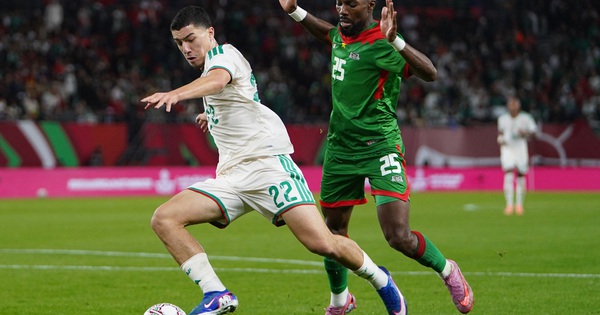 Sao trẻ gốc Việt Ibrahim Maza: Tấm vé World Cup 2026 có thể đưa anh đến Premier League và mở ra cơ hội cho người hâm mộ cá cược - hình ảnh - o8play.com