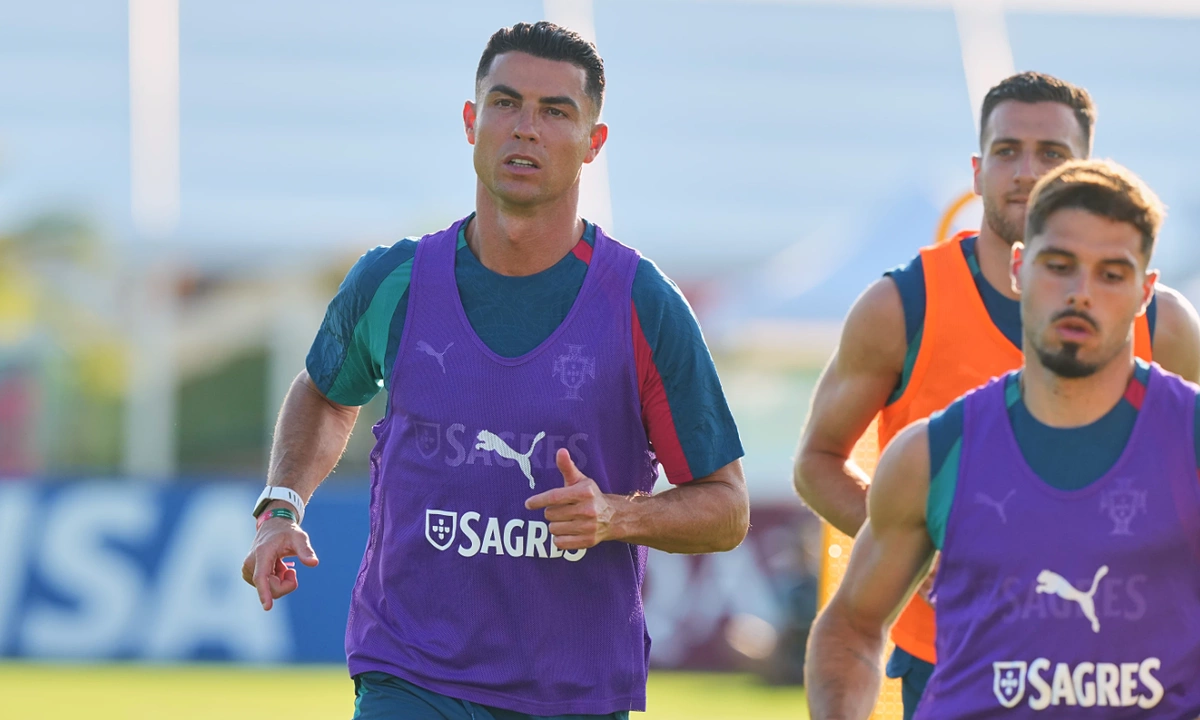O8 chính thức