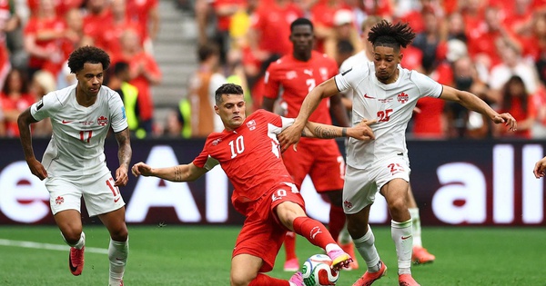 Nhà cái O8: Thụy Sĩ vs Algeria – Cửa cược nào sáng giá tại VCK World Cup? - hình ảnh - o8play.com Nhà cái O8: Thụy Sĩ vs Algeria – Cửa cược nào sáng giá tại VCK World Cup? - hình ảnh - o8play.com